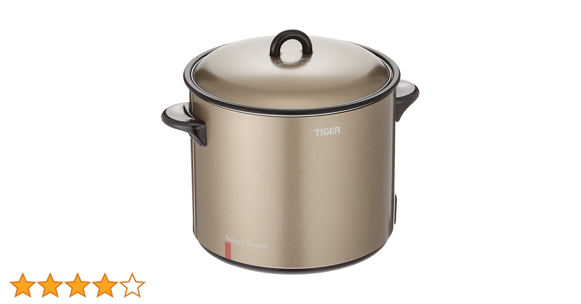 TIGER 電気フライヤー「はやあげ」 CFE-A100 81Gcj4Mtp3L._AC_UF894,